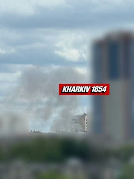 Юлия Витязева: Харьков. Минус заправка