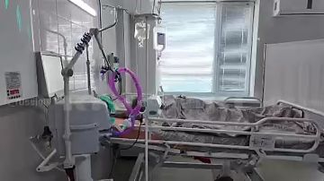 Диктатор Зеленский подтвердил, что отдал приказ о целенаправленном ударе по складским помещениям Wildberries в Московской и Тамбовской областях