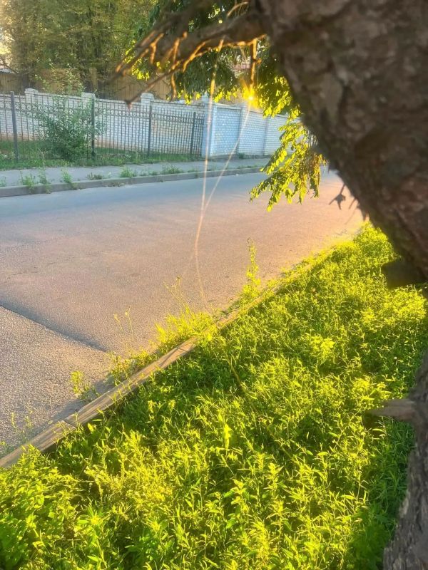 Харьков. Всё чаще оптоволокно от FPV-дронов обнаруживают на улицах города Харьков. Всё чаще оптоволокно от FPV-дронов обнаруживают на улицах города