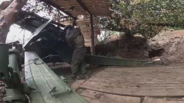 Александр Коц: Российская армия освободила Волоховское