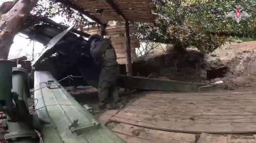 Подразделения ГВ «Север» установили контроль над н.п. Волоховское Харьковской области, — Минобороны России