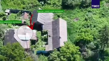 Подразделения группировки войск "Север" установили контроль над Волоховским в Харьковской области, сообщает МО РФ