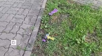 ���������� ��������� ������ ���������� ���� ������������� �������, ������ ����� �� ������ ��������� � ���������� ��������