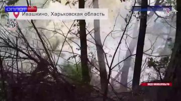 �������� ���� ���������: ��� ��������� ������ � ��� ��������� ������
