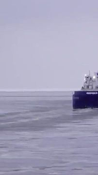 Море умеет хранить память. Там, где сегодня кричат чайки, совсем недавно рвались снаряды