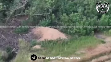 ��������� �������: �������� ���� � ����������� ������ �� ���������� �����������