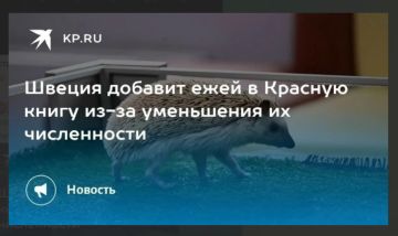 А они все твердили: в России едят ежей, в России