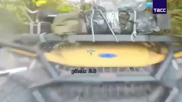 ����� ������������ �������� ��� ���������� ����������� �������