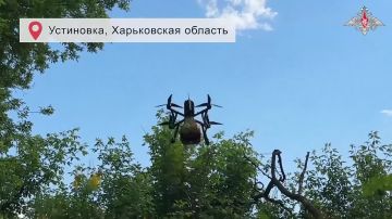 ����������: ����� ������ ���������� ����� �������� � ��������� ����������� ������� �� ���������� ���������� ��� ������ ����� �������� ������� ������� ������������� ������� ��� � ���������� ������, ��� ��������� ����������...
