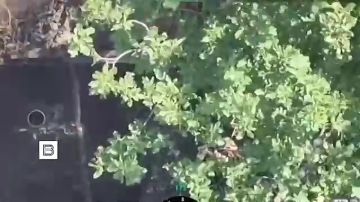 Белый Колодезь и Устиновка были важными логистическими центрами ВСУ в Харьковской области, сообщает Минобороны России