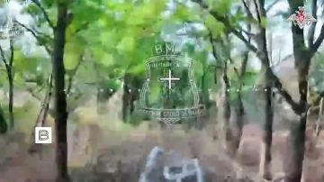 Минобороны России показало кадры освобождения Бакшеевки в Харьковской области