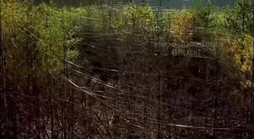 ��� � ����������� ������� ������ ������������ �� FPV-������