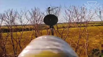 �������� �����: ����������� ������������ ��� ��� � ���� �������� ��� ���������
