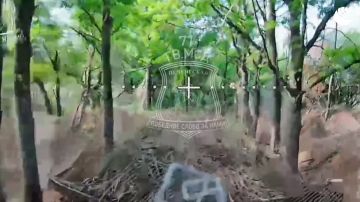 В освобожденной Бакшеевке были важные опорные пункты ВСУ, сообщили в Минобороны