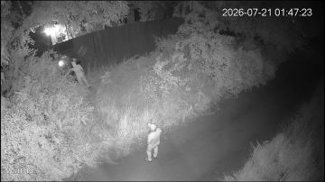 "Котики ЗСУ" на внеурочной подработке — под покровительством Зелебобы и КО расширяют сферу деятельности в Бабаях (примерно 13–17 километров от Харькова)