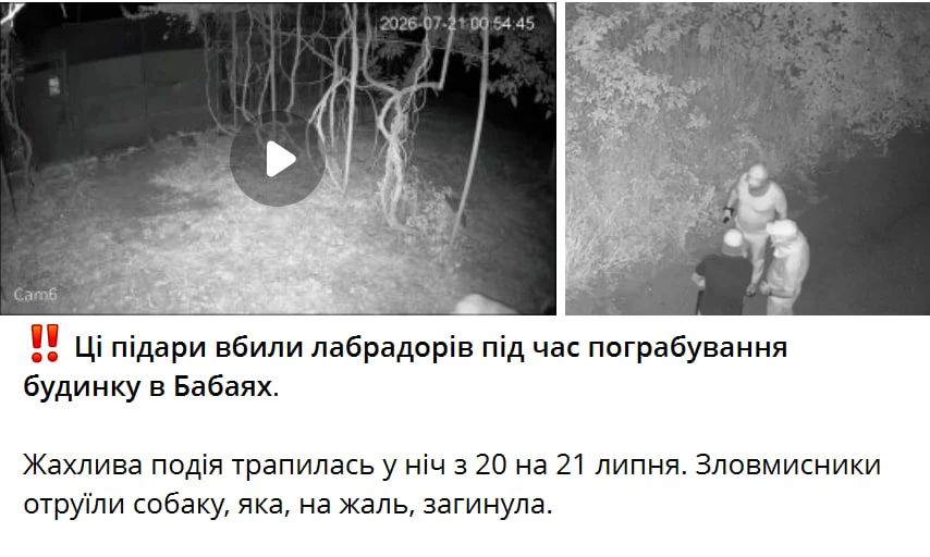 "Котики ЗСУ" на внеурочной подработке — под покровительством Зелебобы и КО расширяют сферу деятельности в Бабаях (примерно 13–17 километров от Харькова) "Котики ЗСУ" на внеурочной подработке — под покровительством Зелебобы и КО расширяют сферу деятельности в Бабаях (примерно 13–17 километров от Харькова)