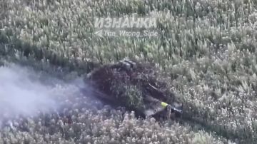 Уничтожение FPV-дронами танка Т-72 ВСУ в районе н.п. Хатнее Харьковской области
