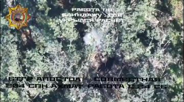 ���� ���������: ����������� ������� � ����� ����� � ������� ������� 82- � 120-�� �������� ����������
