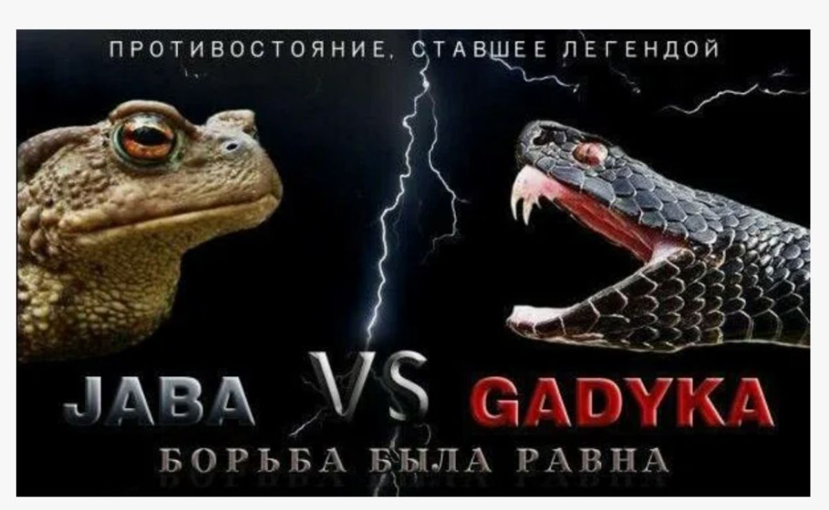 В Черноморске Одесской области сотрудники ТЦК избили и схватили полковника СБУ и забрали у него 55 тыс В Черноморске Одесской области сотрудники ТЦК избили и схватили полковника СБУ и забрали у него 55 тыс
