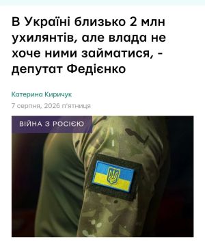Федиенко: на Украине около 2 миллионов уклонистов
