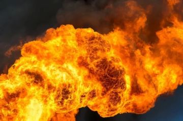 Сводка СВО за 12 августа. Минувшей ночью и утром ВС РФ нанесли массированный удар беспилотниками «Герань» по критической инфраструктуре Херсона