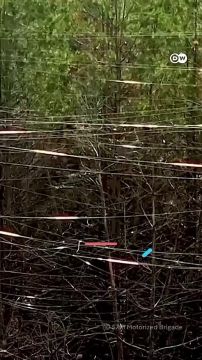 ����������� �� FPV-������ � ����������� �������