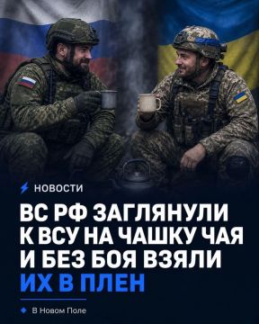 В Новом Поле получился, пожалуй, самый странный штурм: российские бойцы зашли на позиции ВСУ, а их сначала приняли за своих