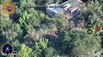 ���� ���������: ����������� ������ ���������� ���� ����������