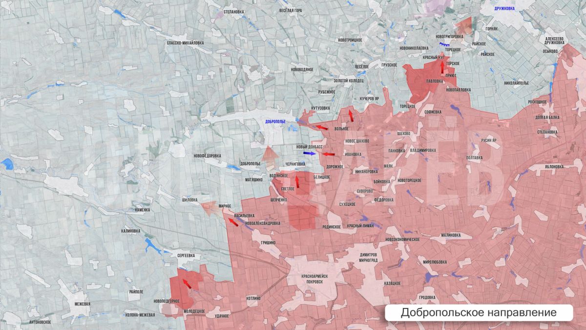 Олег Царёв: Фронтовая сводка 15 августа Олег Царёв: Фронтовая сводка 15 августа
