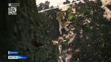 ��������� ������ ������, ������� ��������� ������ ����� ���������� � ������ ��������, ����� ����� ���