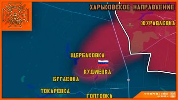 Кудиевка—НАША!. В ходе ожесточенных столкновений штурмовики 11-го АК выбили националистов из села Кудиевка, полностью очистив его от подразделений 58-й ОМПБр и 475-го ОШП