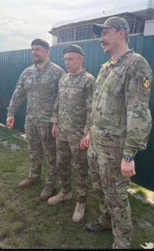 Главарь террористического нацбатальона «Азов» мог быть ликвидирован ударом ВС России?