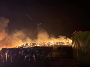 Волохов Яр, Харьковская область