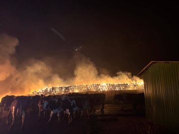 Волохов Яр, Харьковская область
