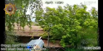 ���� ���������: ����������� ������ ���������� ���� ����������