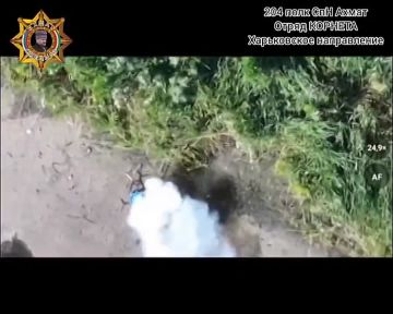 ���� ���������: ����������� ������� ����� ���� � ������ "������" ����������