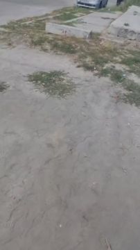 ���� � ������ ��-���������
