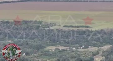 Два майора: Харьковская область, район н.п. Вольное