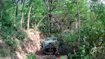 ����������� �����������. ������ ����������� � ������