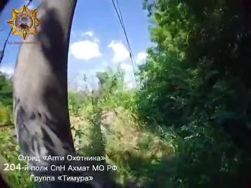 ���� ���������: ����������� ������ ��������� ������ ������ �������� �������� "�����" �� �� �� ����������� ���� ����������