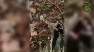 � ���� �������� ������� ������������ ��� ��� ����� ��������� "�������" ��������� ��� �������������� �����, ���������� ������� ������� �������� �������� ������ "��������" �� �������