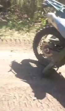 ����������� �����������, ������������ �������