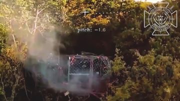������������ ��� "�����" ���������� � ����������� �������