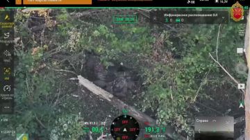 ��������� �����������: ������ �������������� ����� ����������