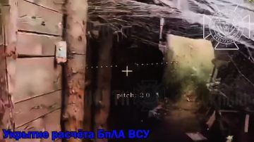 ����������� �����������.. � ����� �� ��������� � ����������� ������� ��� ��������� ������� ���, ��� ��� ����������� ����� ���������� ����. � ������� ������ ��� ���� ���������� ������ � �������������. ���������� ���������...