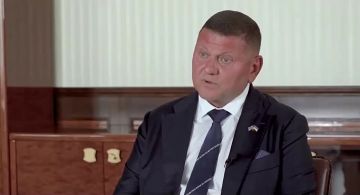 Страхи "мудреца". Залужный заявил, что боится, чтобы "украинцы ментально не стали россиянами":