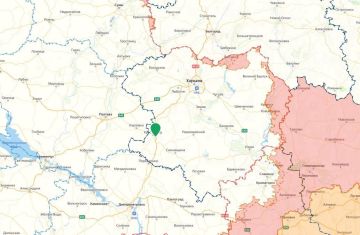 В бандеровских СМИ вой: якобы ВС РФ ударили «по забегу в честь героев ВСУ»
