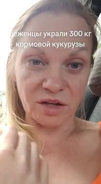 Осторожно мат В середине августа в Германии разразился очередной скандал: "боги, сошедшие с небес", похитили 300 килограммов кормовой кукурузы с поля