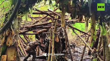 Освобождение села Садки в Сумской области позволит расширить полосу безопасности вдоль границы РФ