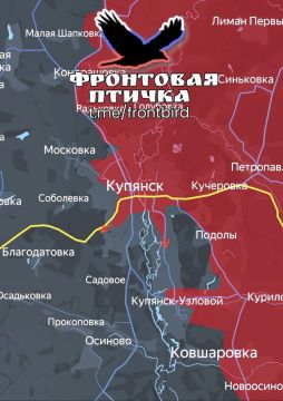 Владислав Шурыгин: Харьковское направление и общая сводка с фронта 31.08